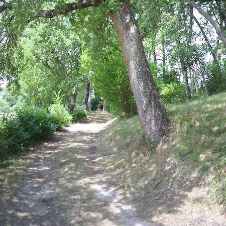 Lovely Holiday Home In Montefiridolfi With Hill View ภายนอก รูปภาพ