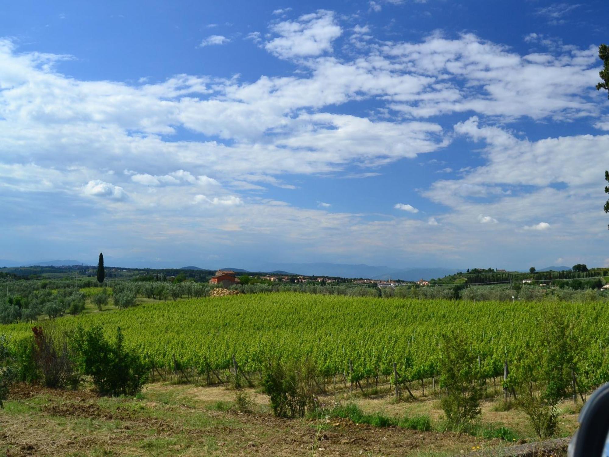 Lovely Holiday Home In Montefiridolfi With Hill View ภายนอก รูปภาพ