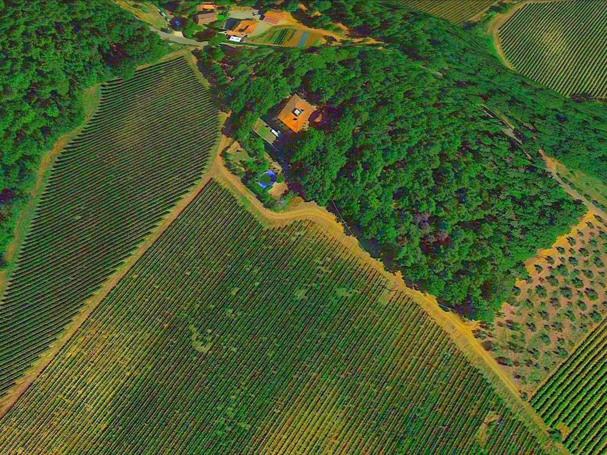 Lovely Holiday Home In Montefiridolfi With Hill View ภายนอก รูปภาพ