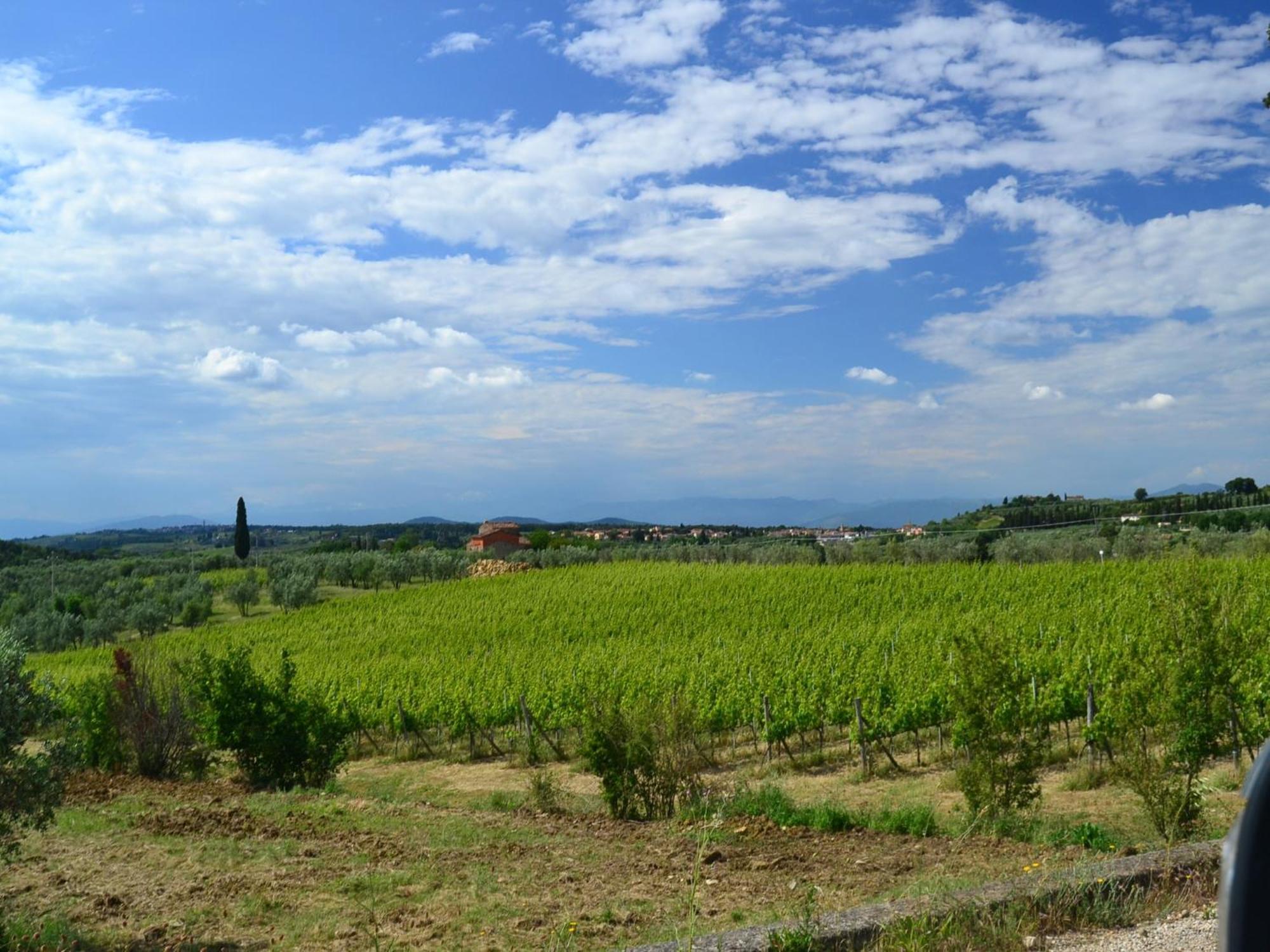 Lovely Holiday Home In Montefiridolfi With Hill View ภายนอก รูปภาพ