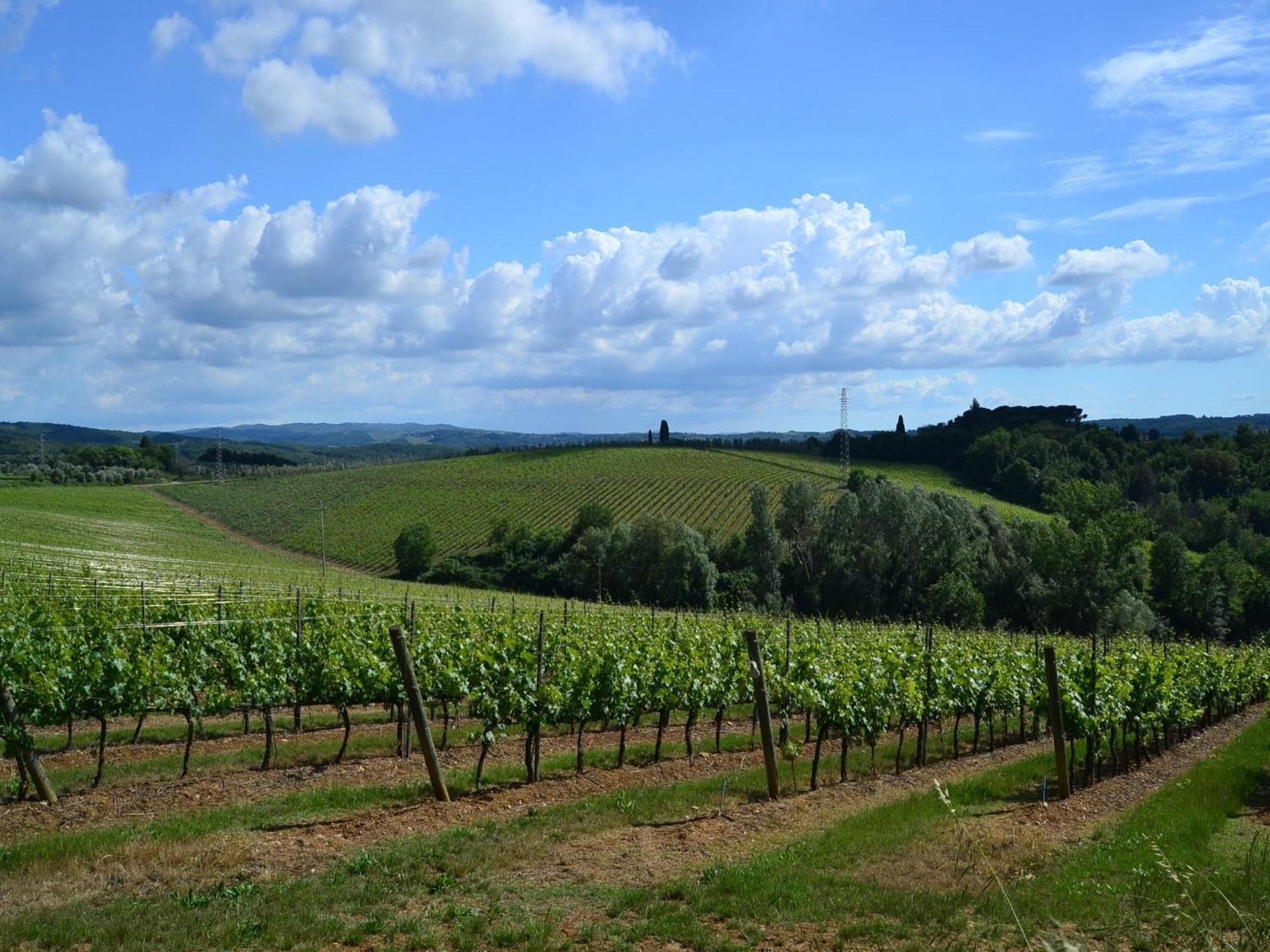 Lovely Holiday Home In Montefiridolfi With Hill View ภายนอก รูปภาพ