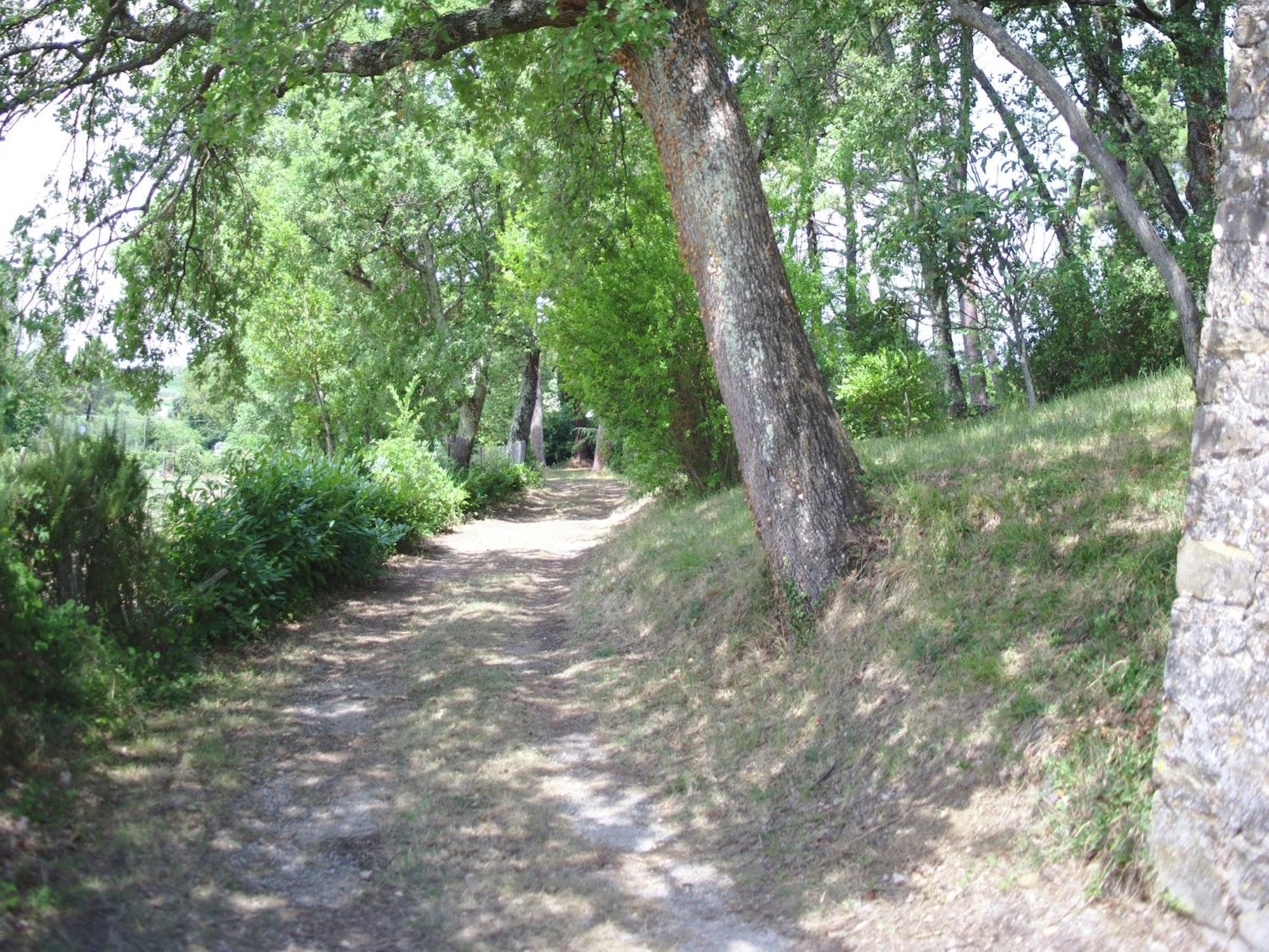 Lovely Holiday Home In Montefiridolfi With Hill View ภายนอก รูปภาพ